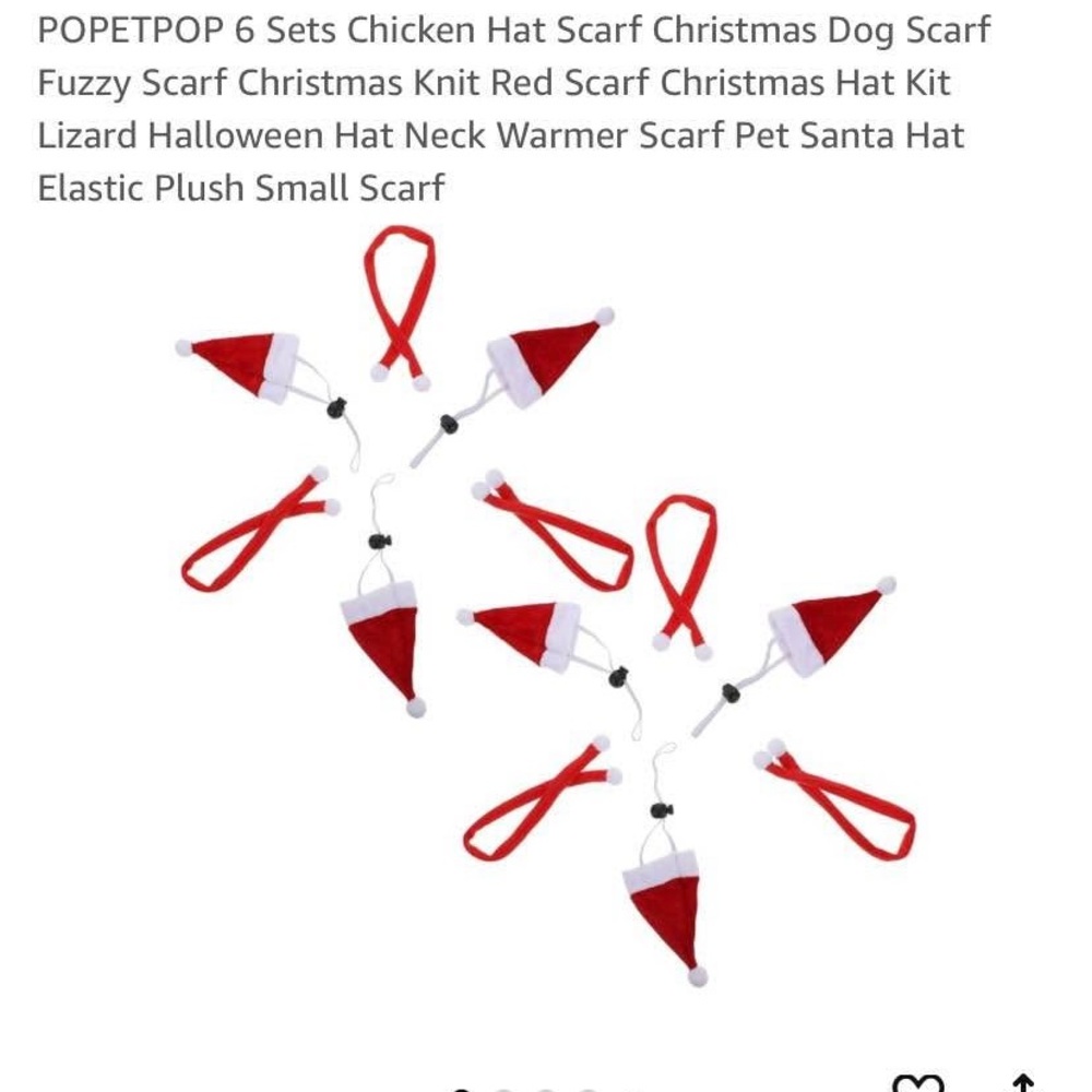 Red Santa Hat Chickens